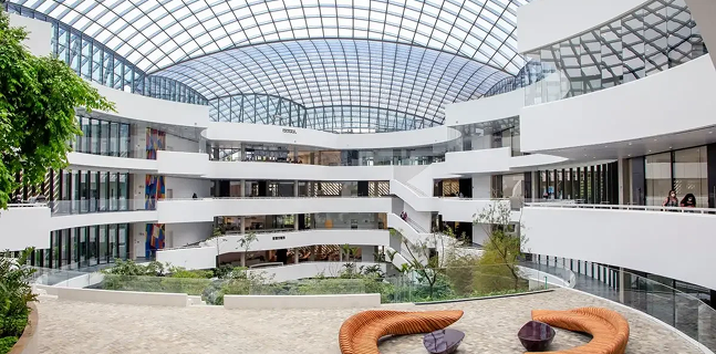 Centro de Competência Embrapii em Terapias Avançadas (CCTA – Hospital Albert Einstein)